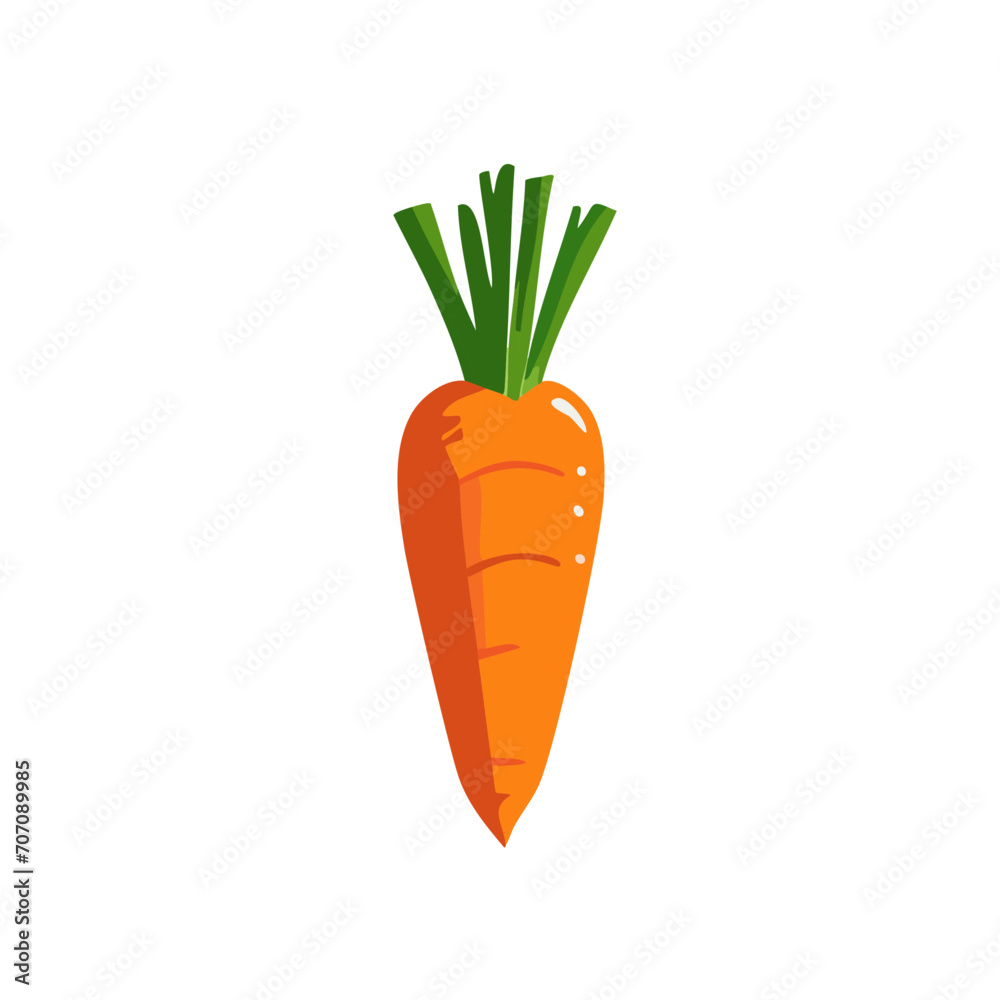 Fresh Carrot Vector Illustration Fresh Carrot Vector Illustration