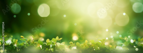 Nature background, Blurred bokeh: Close-Up with Copy Space