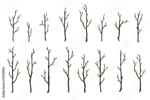 Tree branches set. Hand drawn bare wood sticks vector illustration. Thin forest trees silhouettes isolated on white background
