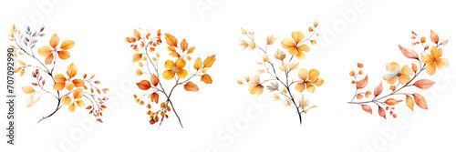 Set of Watercolor autumn twig with single leaves and flowers on a transparent background 