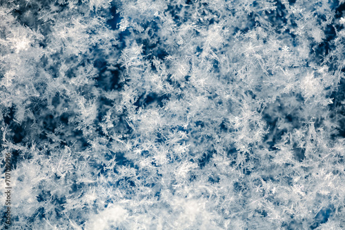 Close-up of snowflakes on a blue background. Macro
