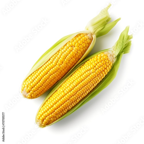 Two ears of corn isolated on white background closeup. Sweet corn