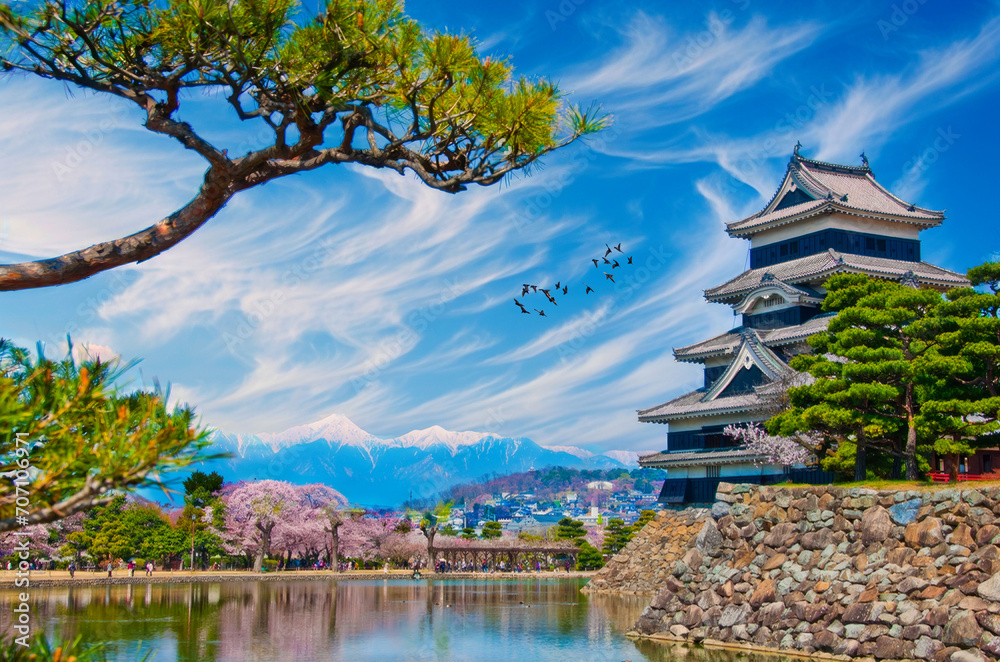 Springtime at Matsumoto Castle, Japan with Cherry Blossoms, Reflective Water, and Snow-Capped Alps