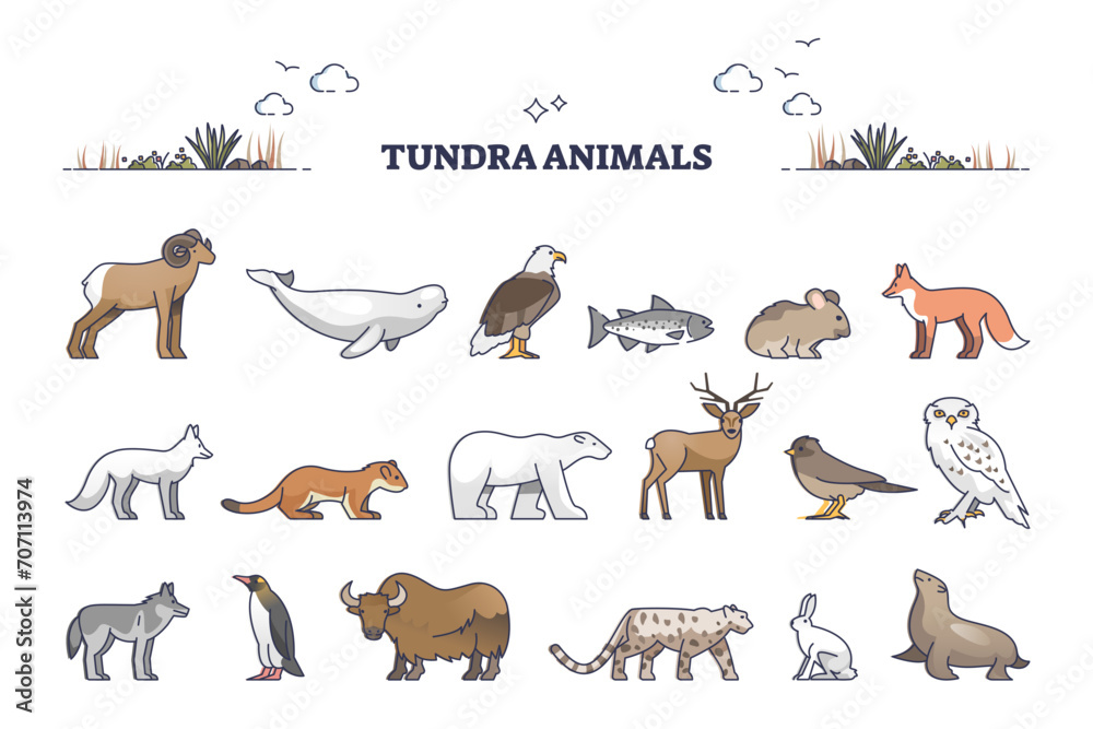 Obraz premium Tundra animals collection with natural habitat creatures type outline set, transparent background. Wildlife mammals for treeless Arctic region illustration. Typical fauna example with seals, fox.