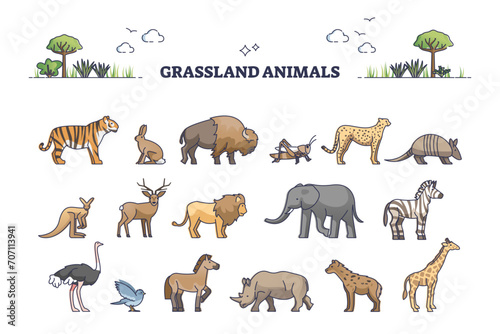 Grassland animals for savanna or safari collection with mammals outline set  transparent background. Australia fauna elements with biodiversity examples illustration. African elephants  giraffe  lion.