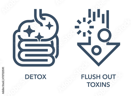 Detox and Flush Out Toxins - food supplement icons photo