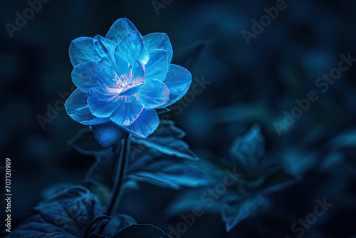 Isolated fantasy bioluminescent flower glowing in the wild at night © grey