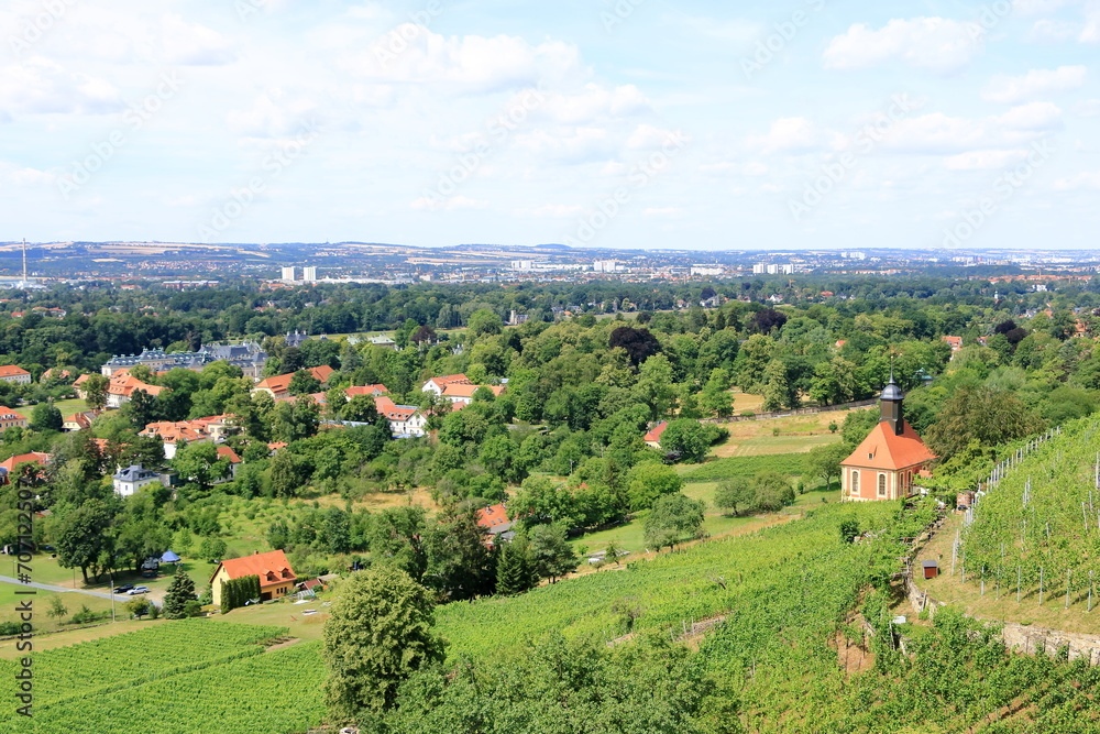 view over Dresden from the Pillnitz vineyards view over Dresden from the Pillnitz vineyards