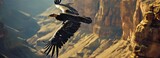Majestic California Condor Soaring Over the Grand Canyon