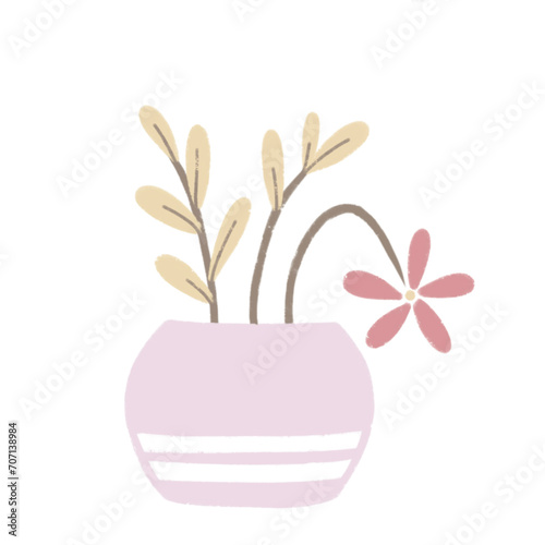 flower in a pot