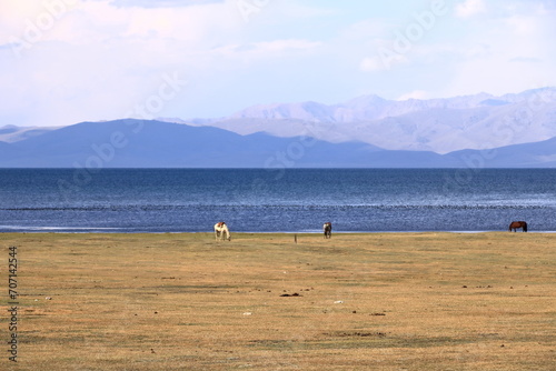 Song kol Lake  Kyrgyzstan  Central Asia