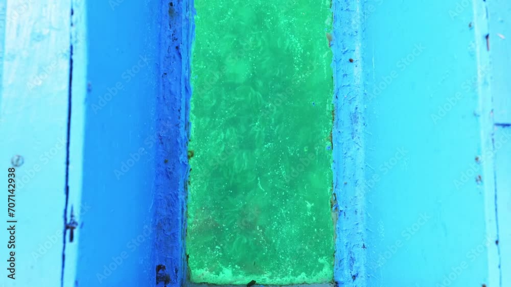 Watching Coral Reef Through Glass Bottom In Boat Watching Coral Reef Through Glass Bottom In Boat