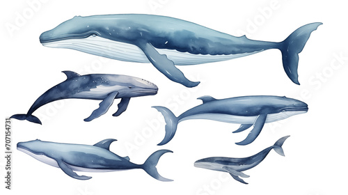 Bundle of Whales watercolor isolate on white