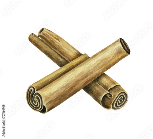 Cinnamon Stick Hand drawn Illustration vector