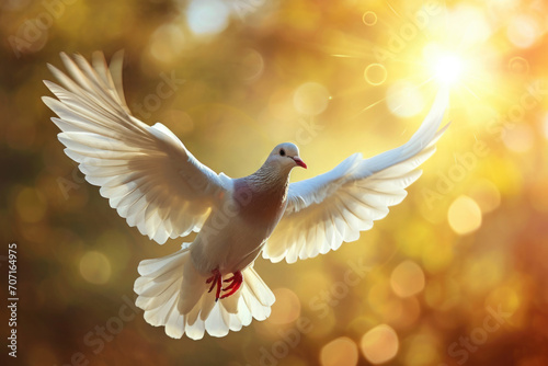 Holy Spirit Dove Soars In Sunlight  Beautiful Illustration