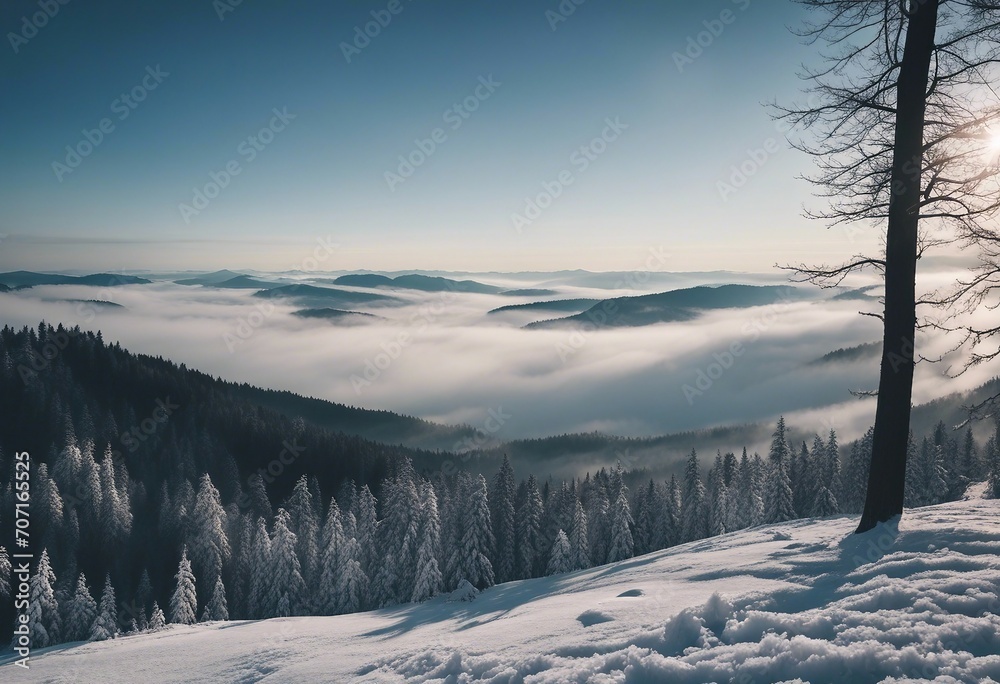 Amazing mystical rising fog mountains sky forest trees landscape view in black forest (Schwarzwald)