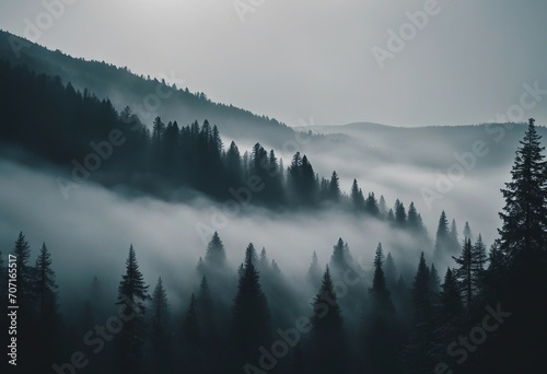 Amazing mystical rising fog forest trees landscape in black forest blackforest (Schwarzwald) Germany © ArtisticLens