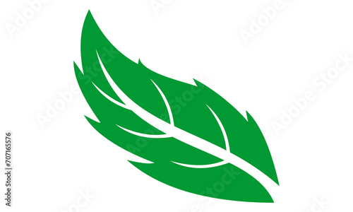 simple green leaf icon vector