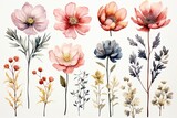 Set watercolor floral elements isolated on white background. Botanic illustration. Flowers and plants for greeting cards, invitations, and manicure designs. Generative AI.
