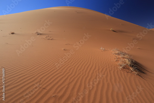 rippled red sand dune in Namib desert