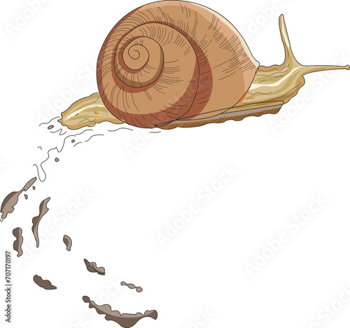A snail moving slowly illustration