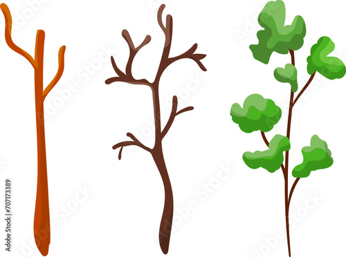 Three stages of tree growth from bare to leafy. Cartoon sapling development, seasonal tree life cycle. Nature, environment, and growth concept vector illustration.