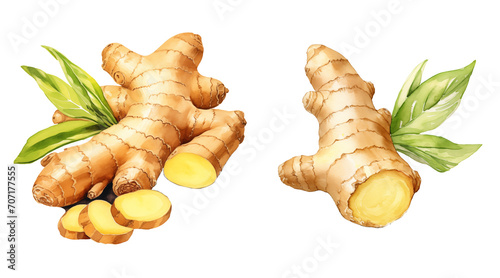 Set of ginger roots watercolor illustration png isolated on a transparent background, healthy spices clipart  photo