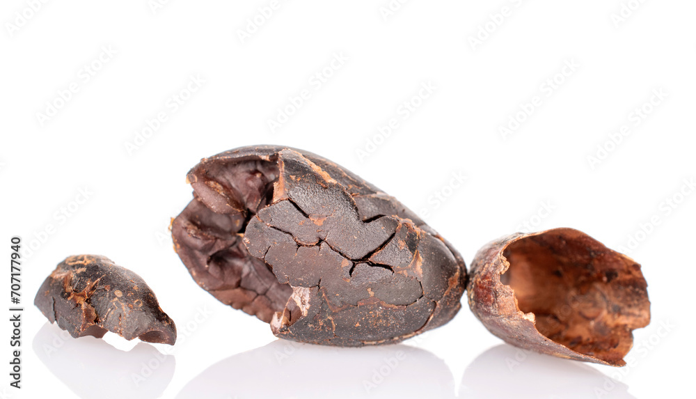One dry cocoa bean, macro, isolated on white background. One dry cocoa bean, macro, isolated on white background.