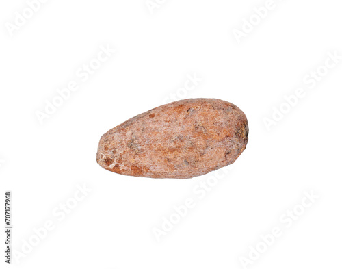 One dry cocoa bean, macro, isolated on white background.