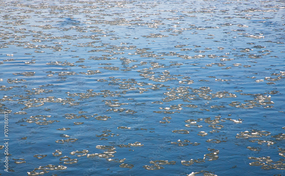 Pieces of ice floating on the surface of the water