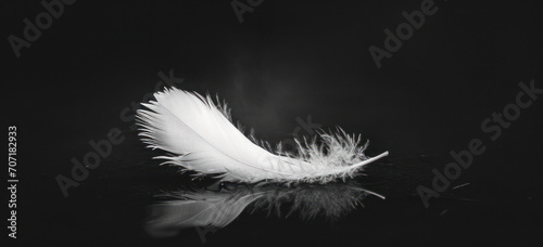 Single white feather on reflective black surface. Tranquility and simplicity.