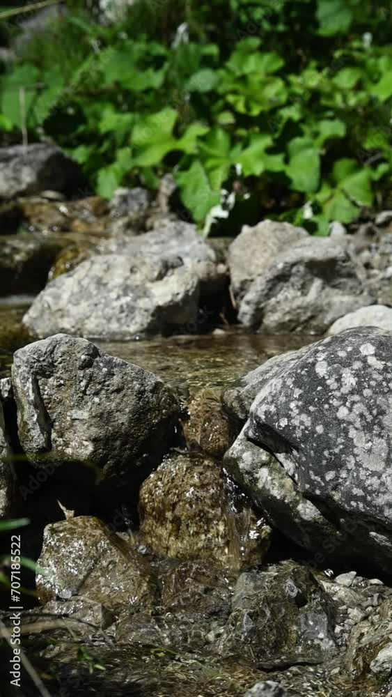 Vertical shot of a small stoney mountain stream, slow motion Vertical shot of a small stoney mountain stream, slow motion