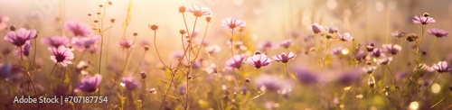 wildflowers in a wild meadow with sunlight abstract beautiful flowers. © olegganko