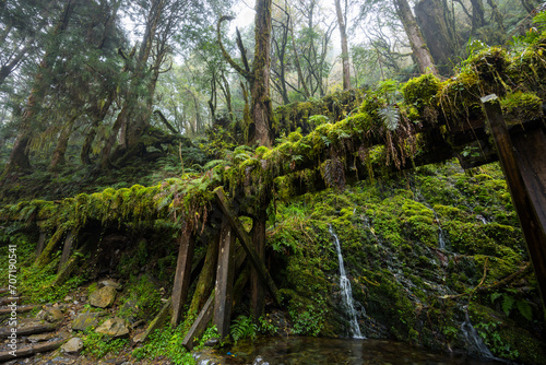 Hiking trail in Taipingshan of Yilan Jianqing Huaigu Trail