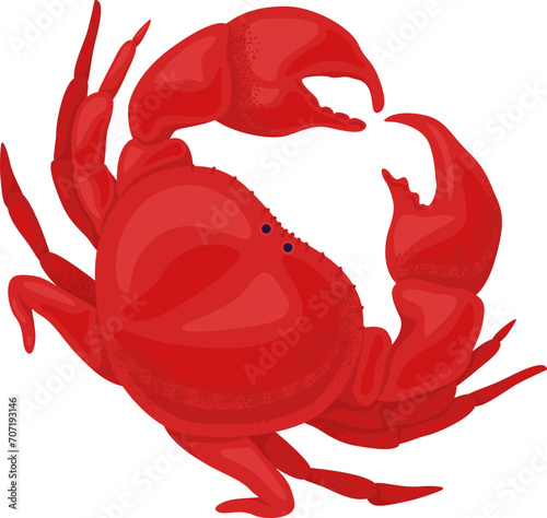 Red crab cartoon character in side profile pose. Marine life and seafood concept vector illustration. photo
