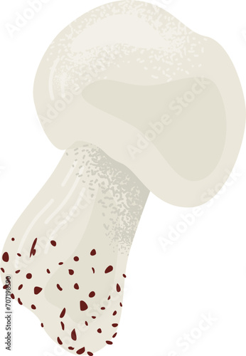 Realistic mushroom vector illustration. Single champignon with detailed cap a...