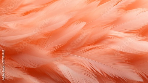 Feathers closeup of trend color of the year 2024 peach fuzz, plumage background texture.