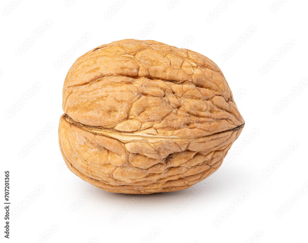 Walnut on white background Walnut on white background
