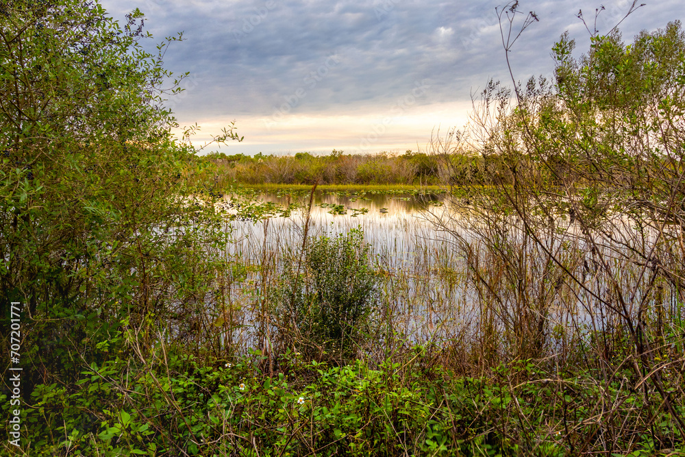 Idyllic wetland scene at dusk, suitable for ecological studies, nature documentaries, and environmental conservation materials. Idyllic wetland scene at dusk, suitable for ecological studies, nature documentaries, and environmental conservation materials.