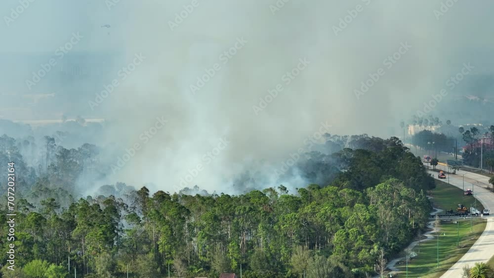 Aerial view of fire department firetrucks extinguishing wildfire burning severely in Florida jungle woods. Emergency service firemen trying to put down flames in forest Aerial view of fire department firetrucks extinguishing wildfire burning severely in Florida jungle woods. Emergency service firemen trying to put down flames in forest