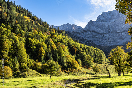maple trees at Ahornboden, Karwendel mountains, Tyrol, Austria © rudiernst