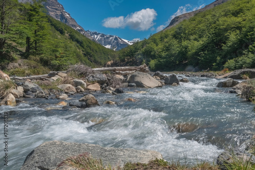 Parque Nacional Torres del Paine - Chile photo