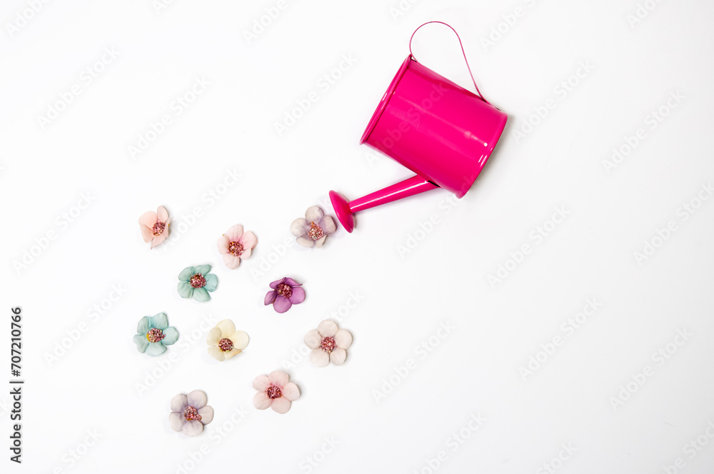 Watering can and flowers on white background. Flat lay, top view. Watering can and flowers on white background. Flat lay, top view.