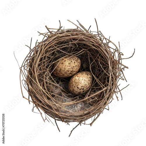 Wallpaper Mural Robins nest isolated on transparent background Torontodigital.ca