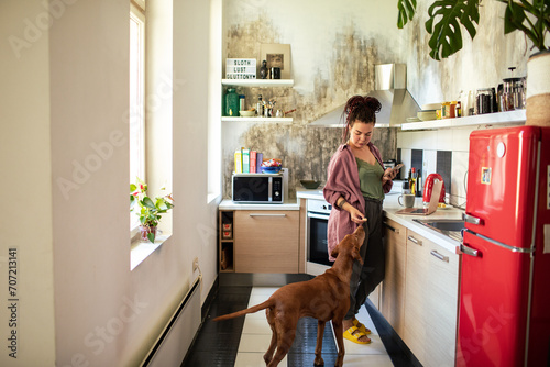 Young woman feeding dog while using smartphone in home kitchen photo