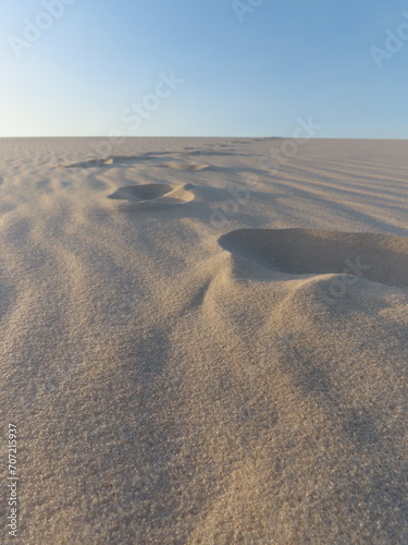 sand dunes in park