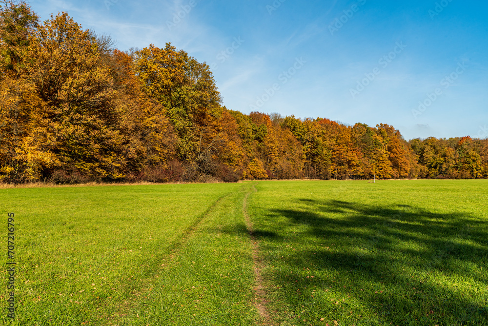 Autumn countryside with meadow and colorful trees