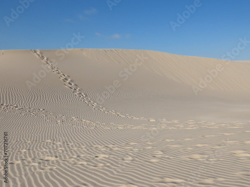 Fototapeta Naklejka Na Ścianę i Meble -  sand dunes in the desert