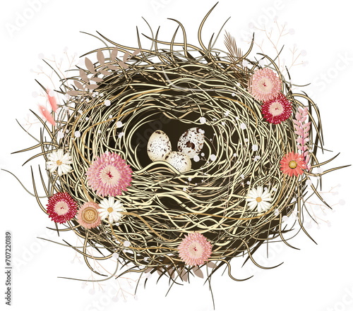 Vogelnest oder Osternest mit Trockenblumen.Liebevoll gezeichnete Vogelnest mit Trockenblumen photo