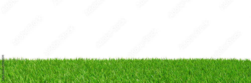 Green fresh grass in the meadow. Banner border 3d rendering - obrazy, fototapety, plakaty 